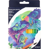 Олівці кольорові акварельні, 36 шт. Kite "Птахи" 