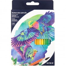 Олівці кольорові акварельні, 36 шт. Kite "Птахи" 