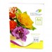 Spectra Color А4 160гр 10х10/100л IT85B Color-Rainbow Pack (супер мікс), 16.4023